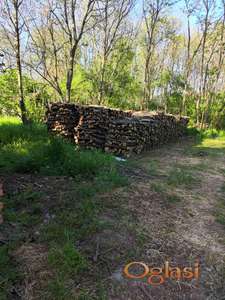 Prodajem ogrevno drvo (bagrem) 140 m3